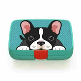 Crunchbox Classic 5 Compartment Lunchbox Aqua Frenchie