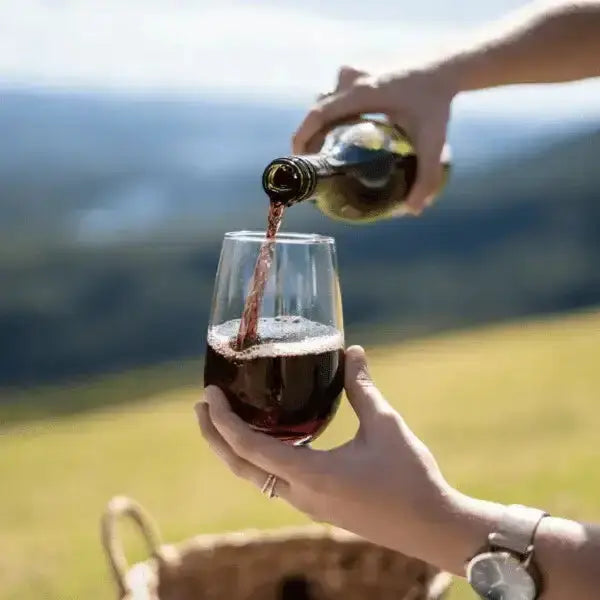 Govino Outdoor Plastic Red Wine Glasses Set of 2