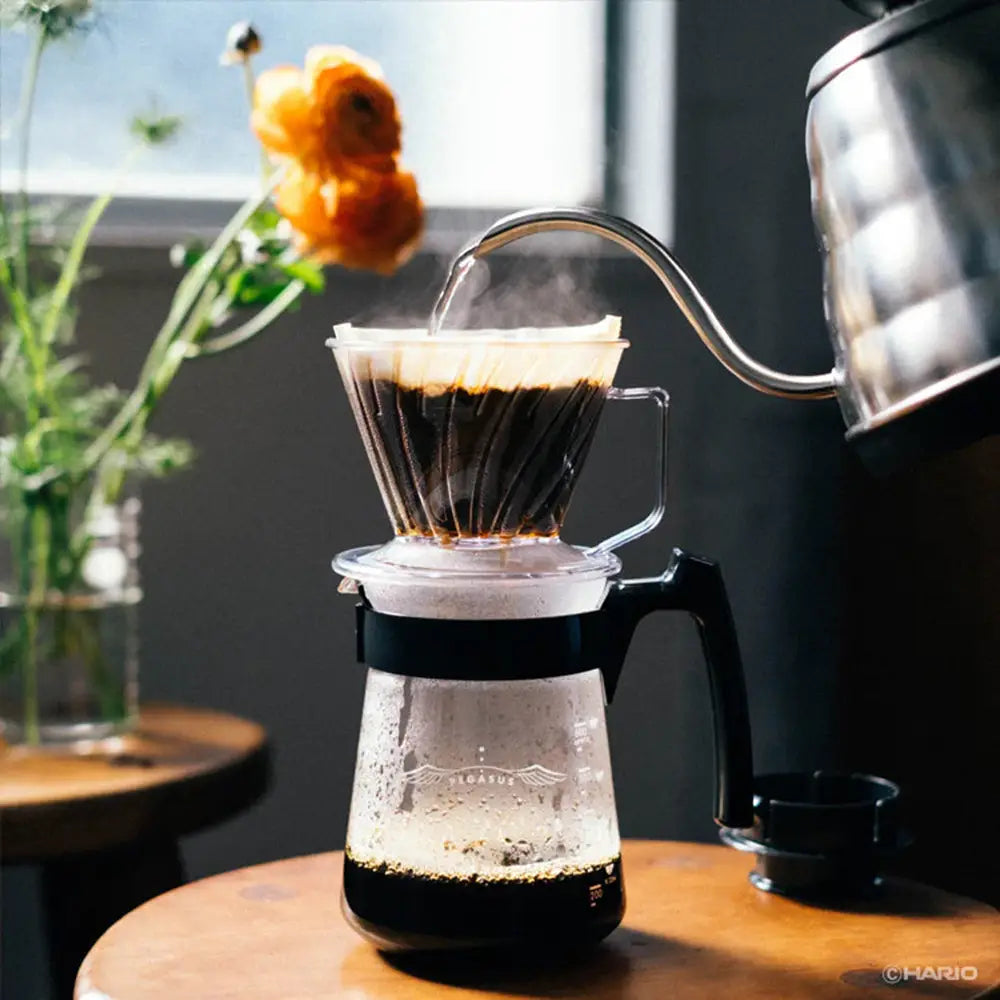 Hario Pegasus Coffee Dripper 02 Clear