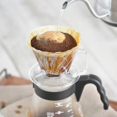 Hario Pegasus Coffee Dripper 02 Clear