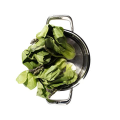 Jan Stainless Steel Pot Set 6 Piece